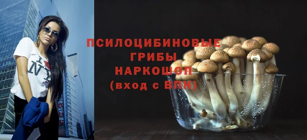 PSILOCYBIN Баксан