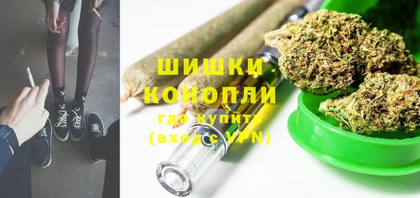 PSILOCYBIN Баксан