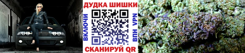 где продают   Белоозёрский  Шишки марихуана SATIVA & INDICA 